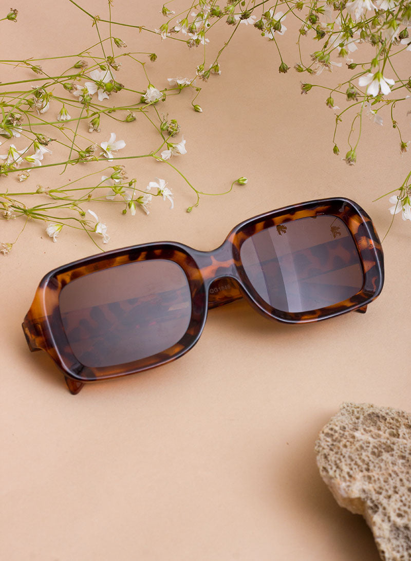 amos sunglass