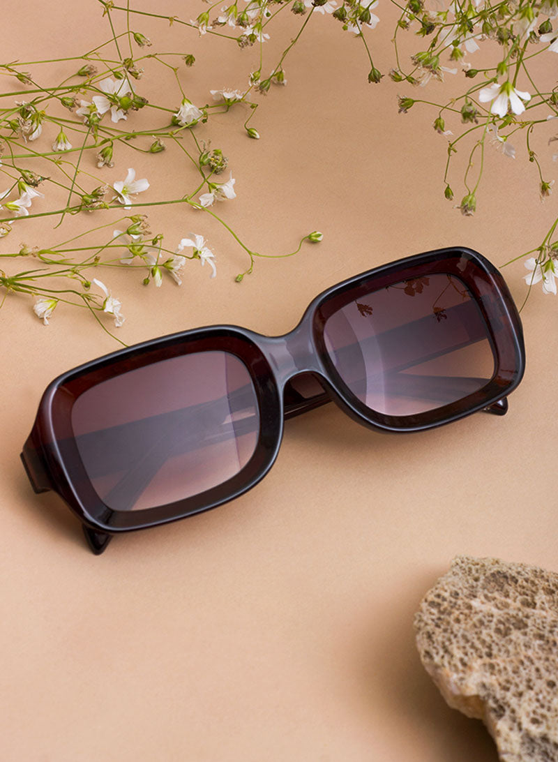 amos sunglass