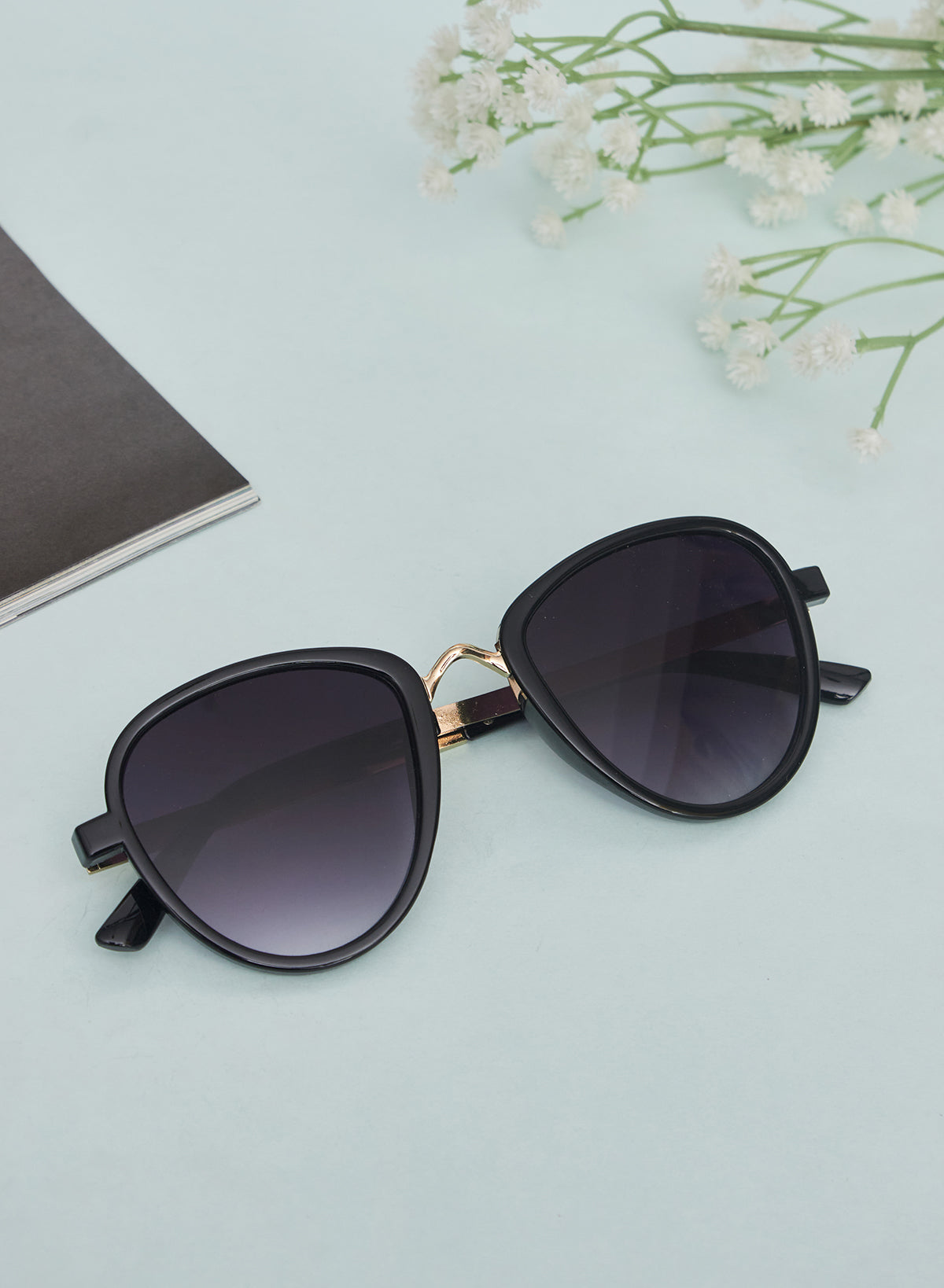 cowrie sunglass