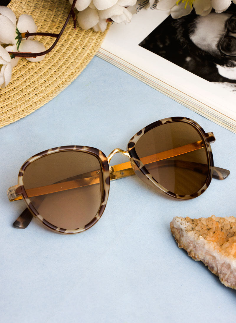 cowrie sunglass