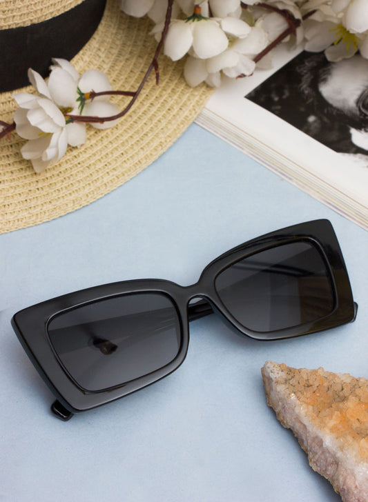 laroy sunglass